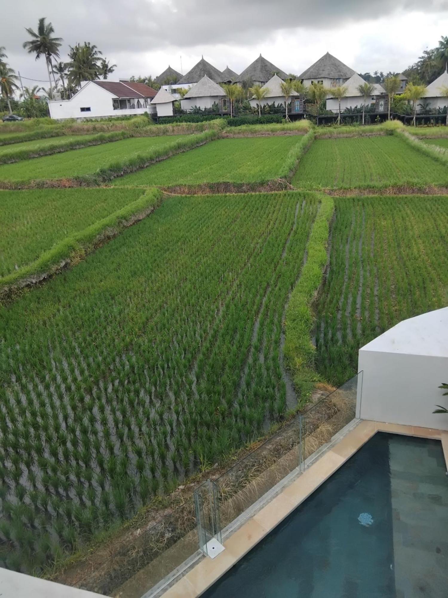 Sujiwa Ubud Hotel & Villa Kültér fotó